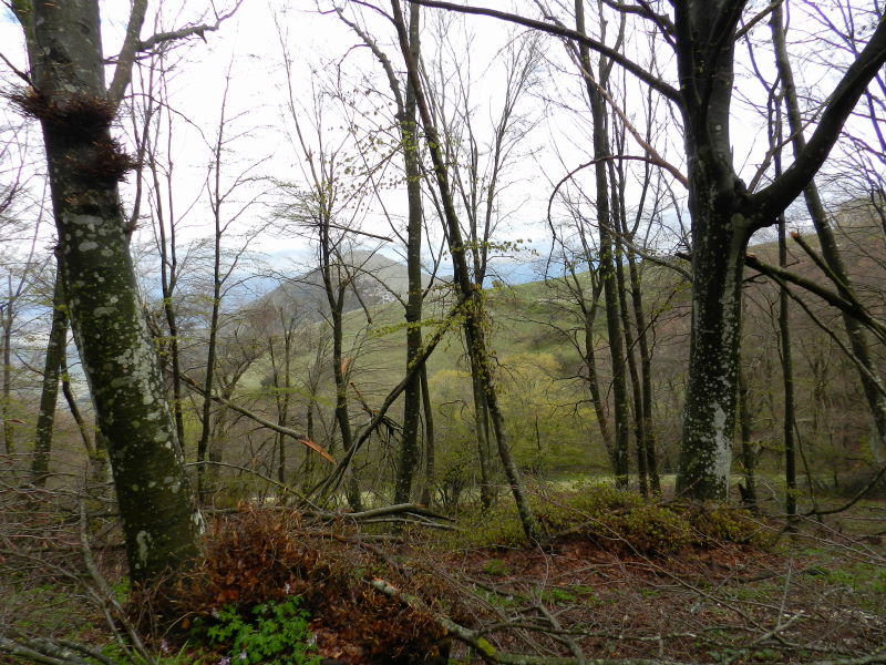 Tra una goccia e l''altra